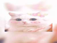 南京斯派尔文化传媒有限公司