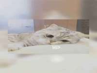 南京斯派尔文化传媒有限公司