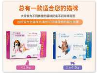 南京斯派尔文化传媒有限公司