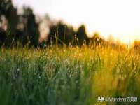 南京斯派尔文化传媒有限公司