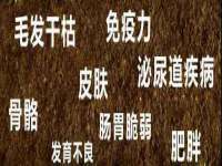南京斯派尔文化传媒有限公司