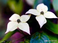 南京斯派尔文化传媒有限公司
