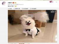 南京斯派尔文化传媒有限公司