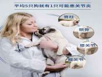 南京斯派尔文化传媒有限公司