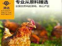 南京斯派尔文化传媒有限公司
