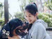 南京斯派尔文化传媒有限公司