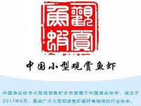 南京斯派尔文化传媒有限公司