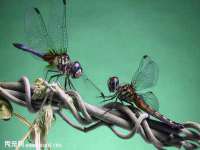 南京斯派尔文化传媒有限公司