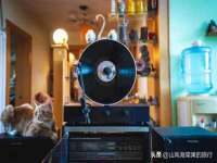 南京斯派尔文化传媒有限公司