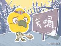南京斯派尔文化传媒有限公司