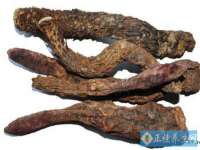 南京斯派尔文化传媒有限公司