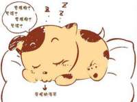 南京斯派尔文化传媒有限公司