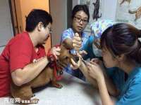 南京斯派尔文化传媒有限公司