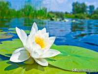 南京斯派尔文化传媒有限公司