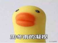 南京斯派尔文化传媒有限公司