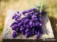 南京斯派尔文化传媒有限公司