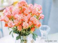 南京斯派尔文化传媒有限公司