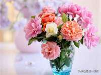 南京斯派尔文化传媒有限公司