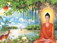 南京斯派尔文化传媒有限公司